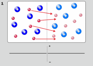 Double-layer Formation 2